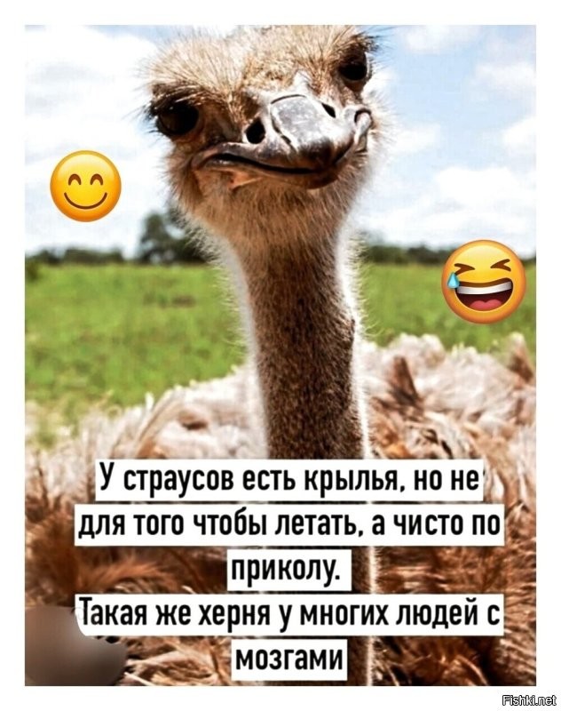 Неудобные вопросы маме