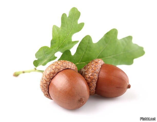 не отвлекайся!