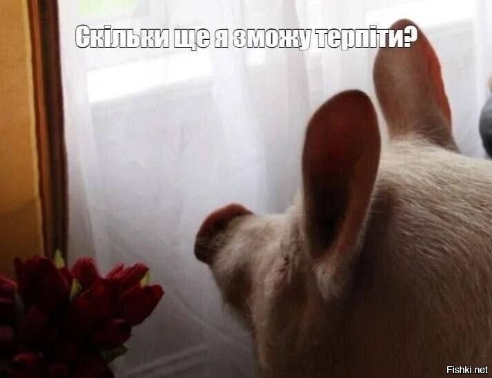 не отвлекайся!