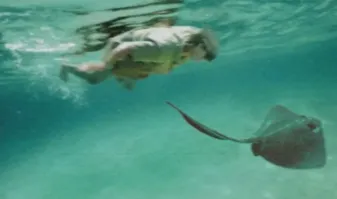 Стив Ирвин тоже так думал