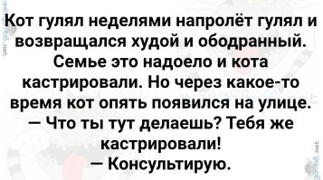 Когда хозяин слишком хорошо знает привычки своего кота