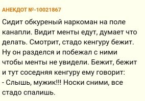 Погоню в одних носках устроил 17-летний подросток из Кирова