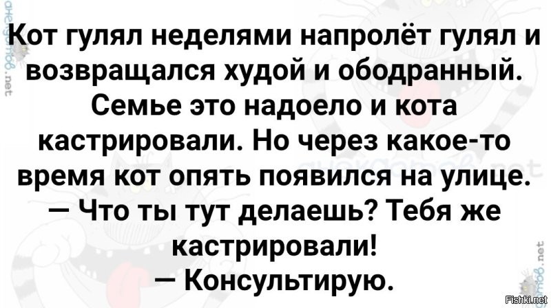 Когда хозяин слишком хорошо знает привычки своего кота