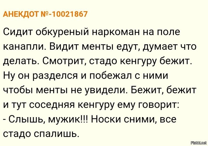 Погоню в одних носках устроил 17-летний подросток из Кирова