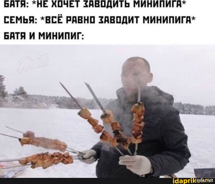 Парень сумел приручить агрессивного мини-пига своей девушки