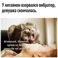 Фалоиммитатор тоже не игрушка.