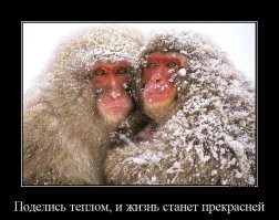 Политическая рубрика от&nbsp;NAZARETH за&nbsp;11.02.26. Новости, события, комментарии - 2009