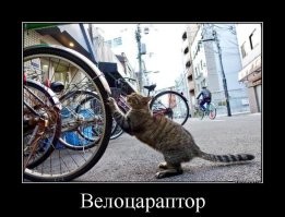 Большая тарелка улыбатора