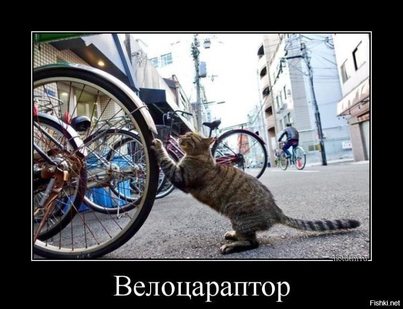 Большая тарелка улыбатора