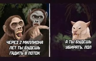 Большая тарелка улыбатора
