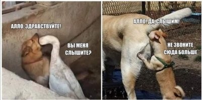 Стрессоустойчивый работник компьютерной мастерской