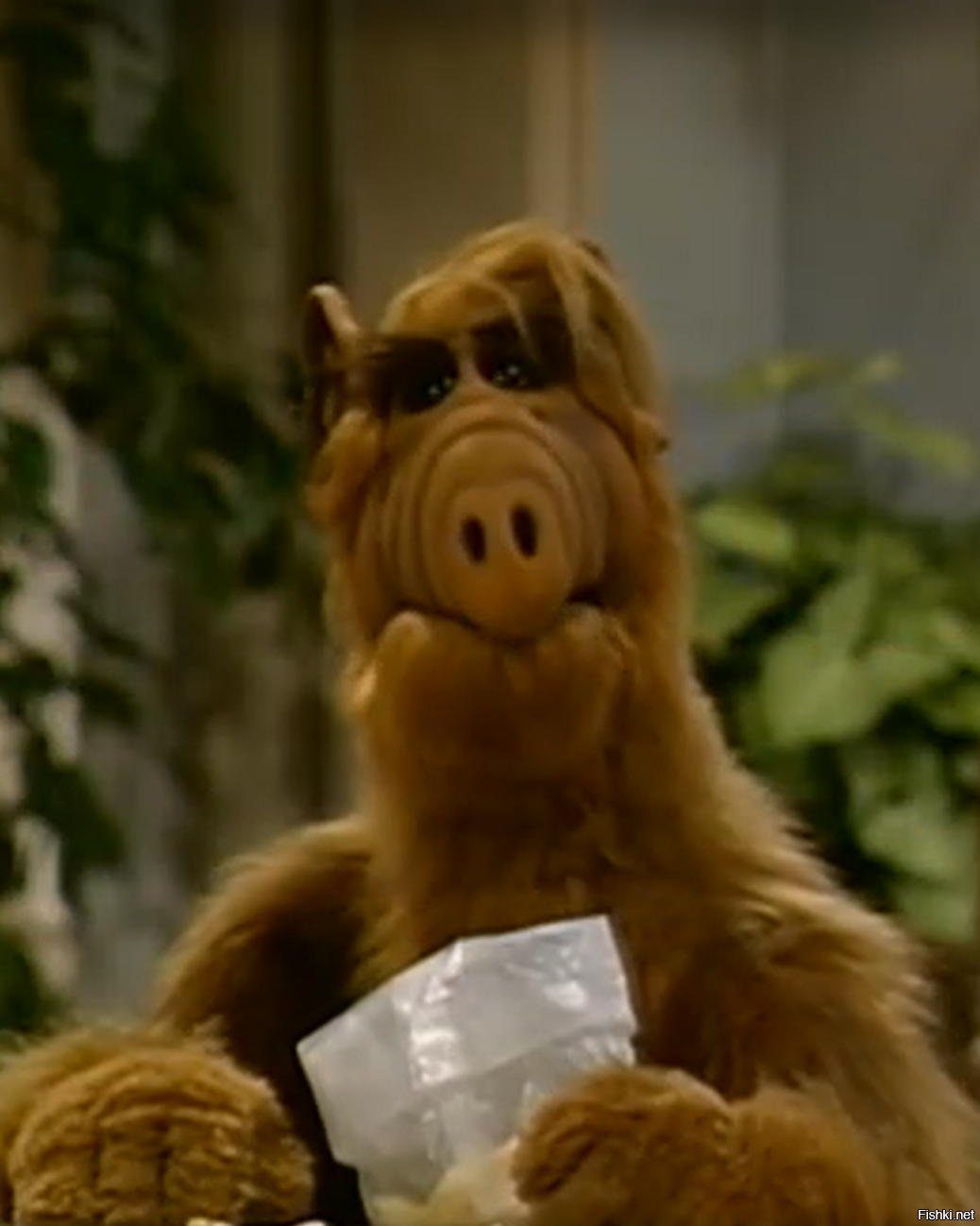 Солянка от 12.02.2026