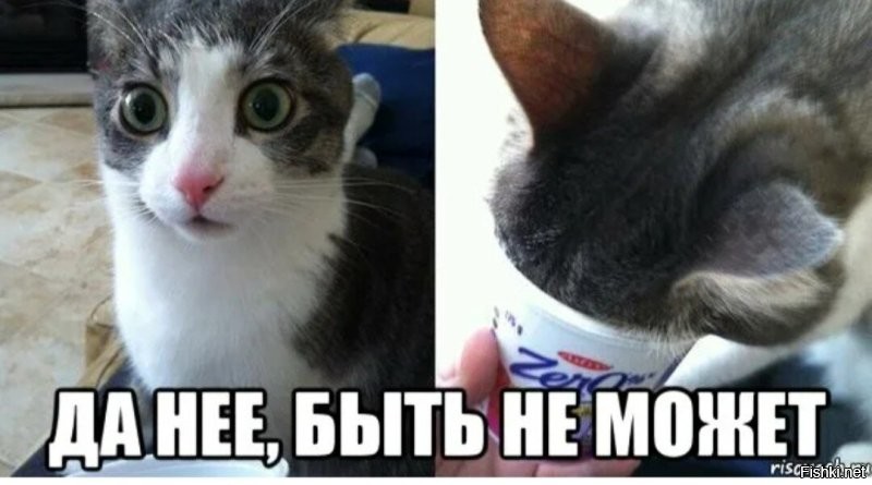 Скрины из соцсетей