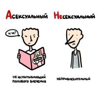 Несексульных мужиков не бывает, бывают недостаточно богатые