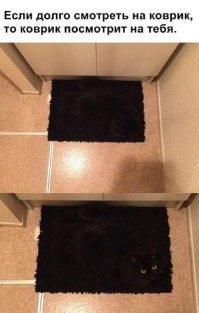 Всё вразнобой&nbsp;