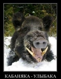 На общую тему&nbsp;