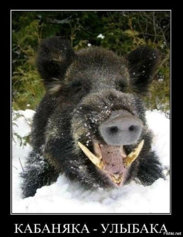 На общую тему&nbsp;