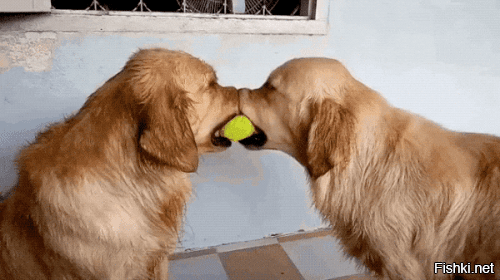 Просто гифки, всякие и&nbsp;разные