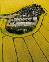 Мечта алергика