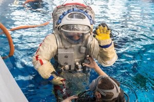 Москвичка случайно постирала кота