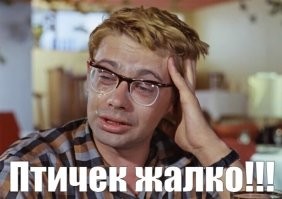 «Доставка на дом»: Манулу Тимофею подарили коробку с перепелкой