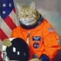 Москвичка случайно постирала кота