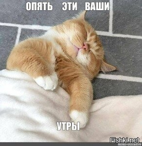 Доброе утро