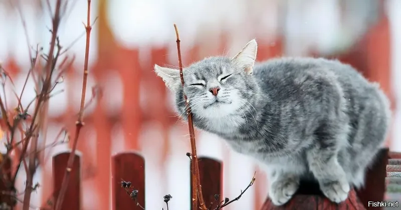 К нам заглянул , все тает )