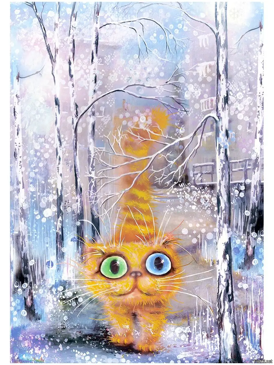 Солянка от 14.02.2026