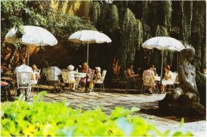 Прям как картина Моне .