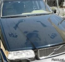 АвтоВсячина