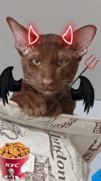 Пизлюдь? за толстую жопу? за расцарапку? Этому ангелу?Вы бы смголи?