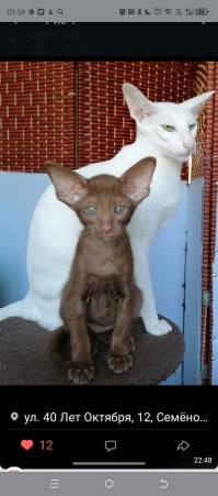 А зацените взгляд мамки..которая : "Ну-ну..ангел....заберите и посмотрите на этого "ангела"