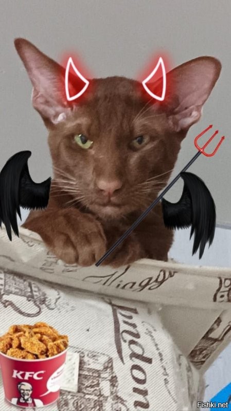 Пизлюдь? за толстую жопу? за расцарапку? Этому ангелу?Вы бы смголи?