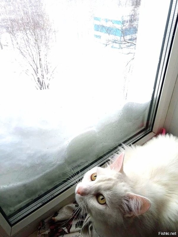 Ну и мы дождёмся)