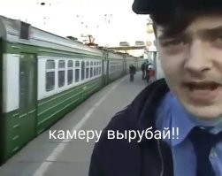 Бродячий кот добавил юмора в романтическое видео пары