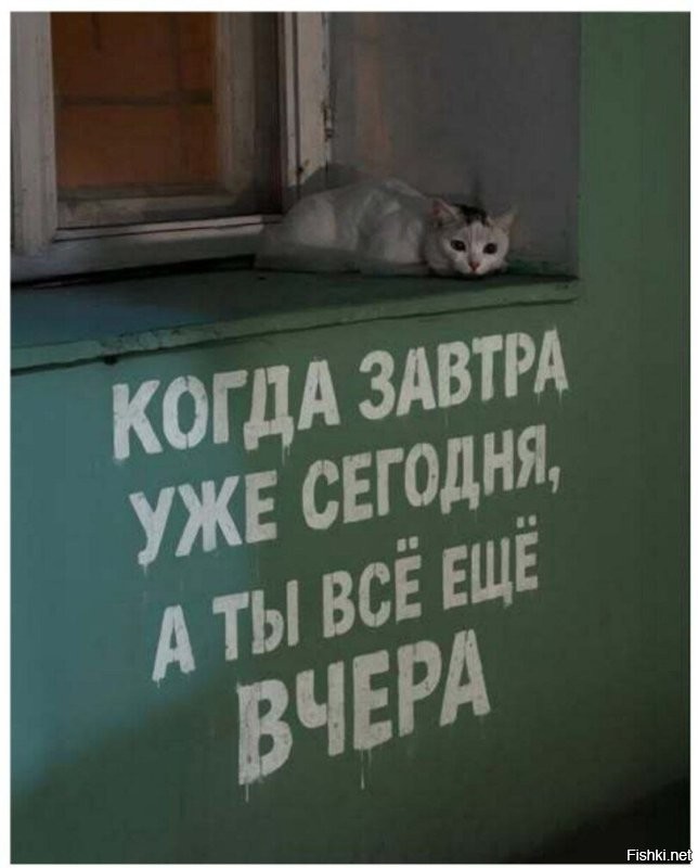 Солянка от 14.02.2026