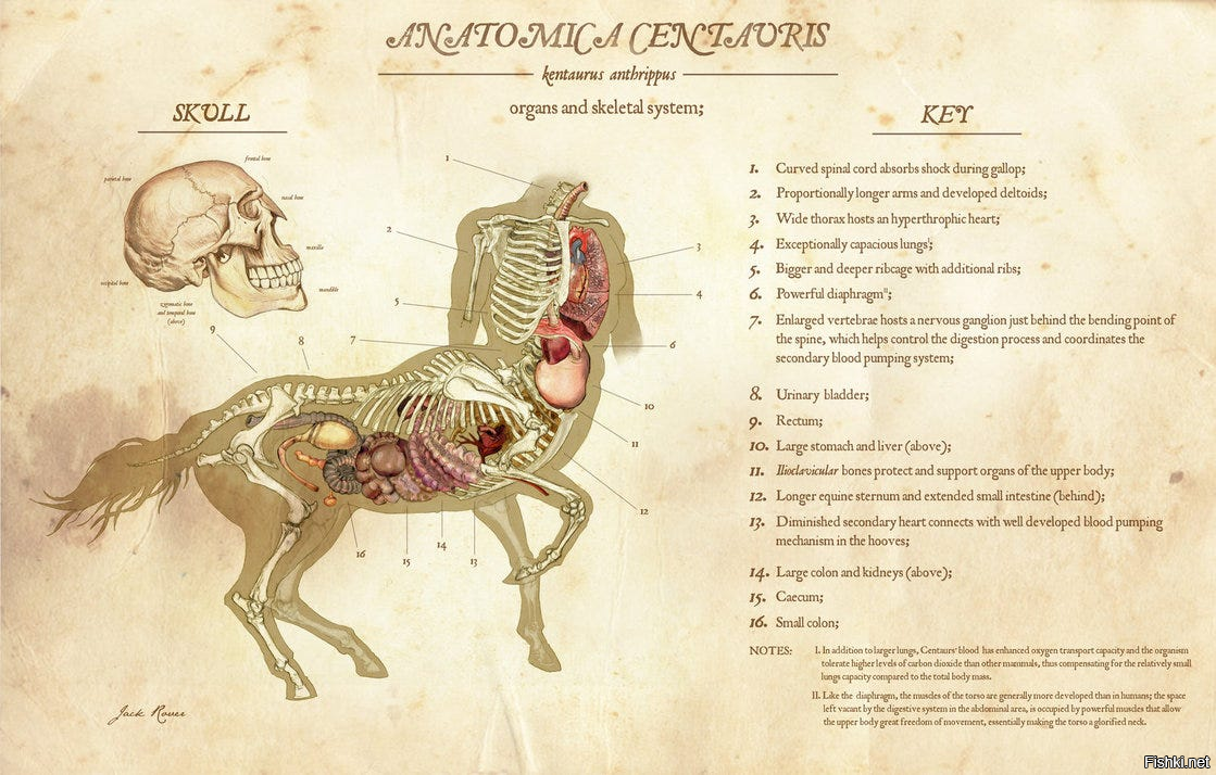 Солянка от 15.02.2026