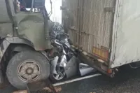 Просто Тузика зажало между Шариком и Жучкой...