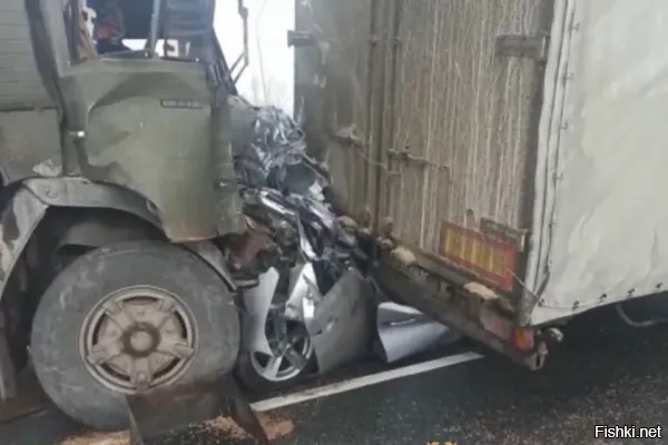 Просто Тузика зажало между Шариком и Жучкой...