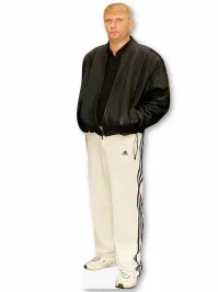 Какого тебе надо?  Этот бы подошёл?