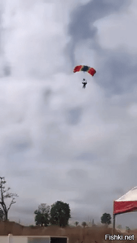 Просто гифки, всякие и&nbsp;разные