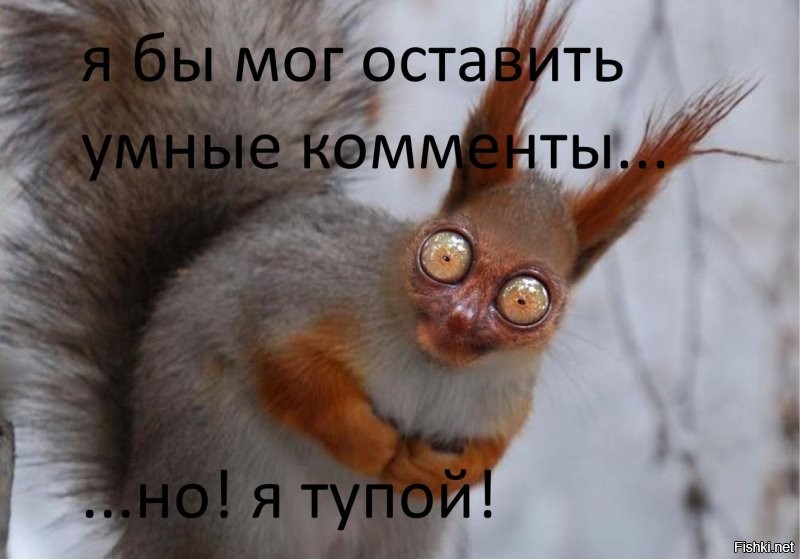 Солянка от 16.02.2026