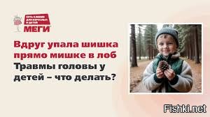 В австралийском городе Варрагул растёт 120-летняя сосна