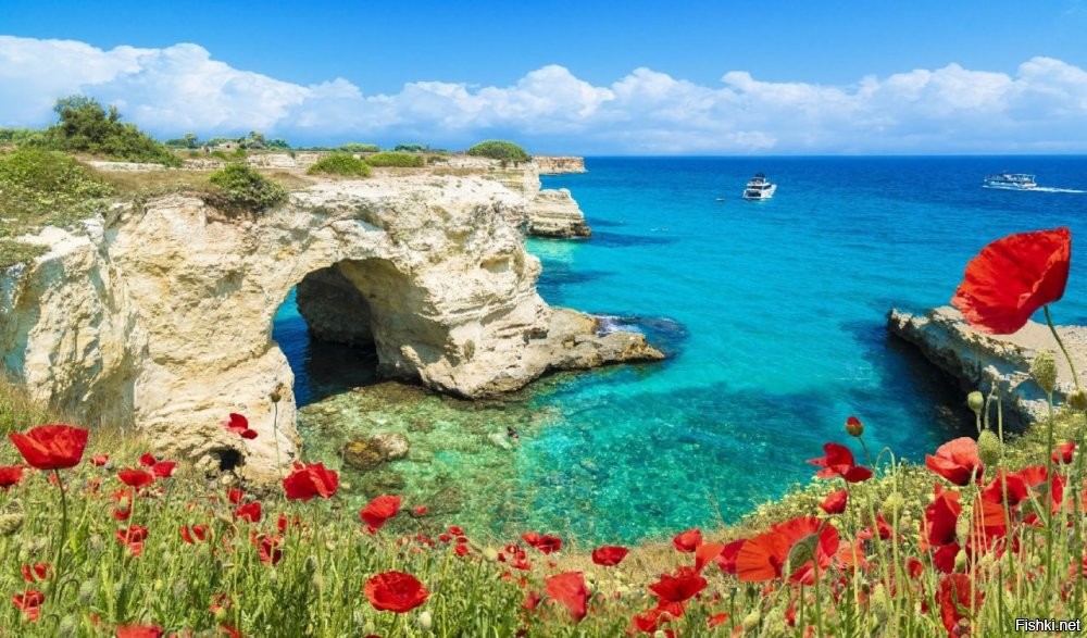 В Италии из-за непогоды обрушилась "Арка влюблённых".
Сходил посмотрел нашу подобную арку, называется грот Дианы. Стоит на месте.