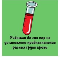 А почему разные формы ушей? 

Просто устоявшиеся мутации, не мешающие жить.