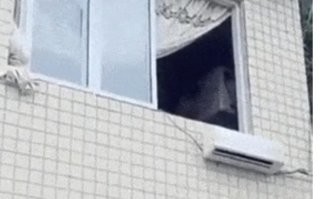 Просто гифки, всякие и&nbsp;разные