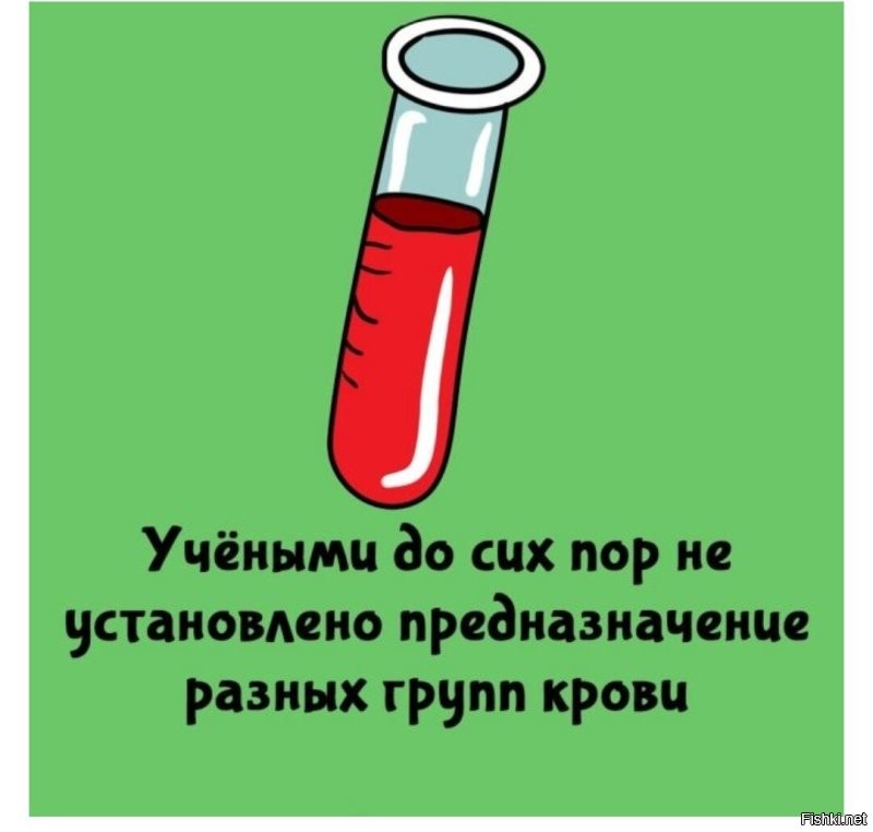 А почему разные формы ушей? 

Просто устоявшиеся мутации, не мешающие жить.