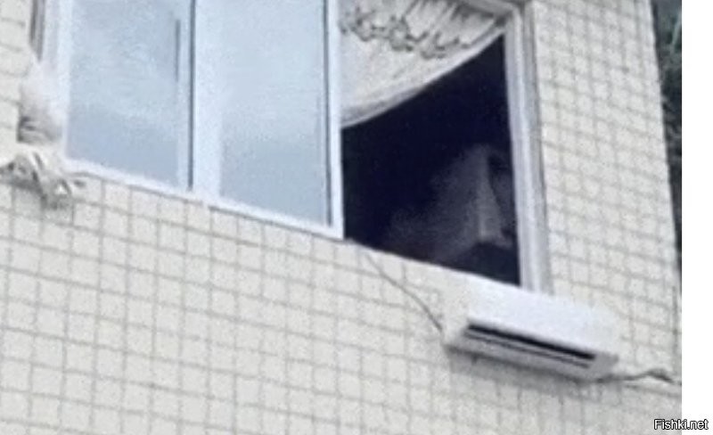Просто гифки, всякие и&nbsp;разные