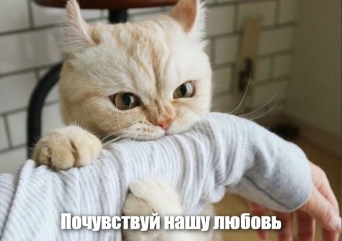 На общую тему&nbsp;